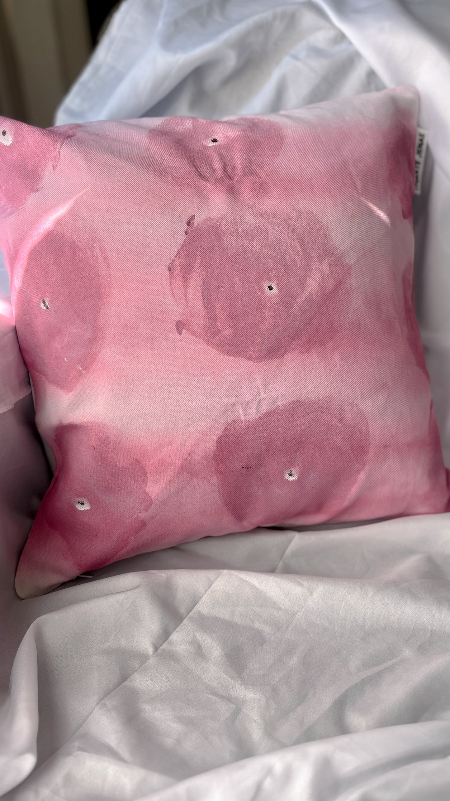 Scatter Pillows