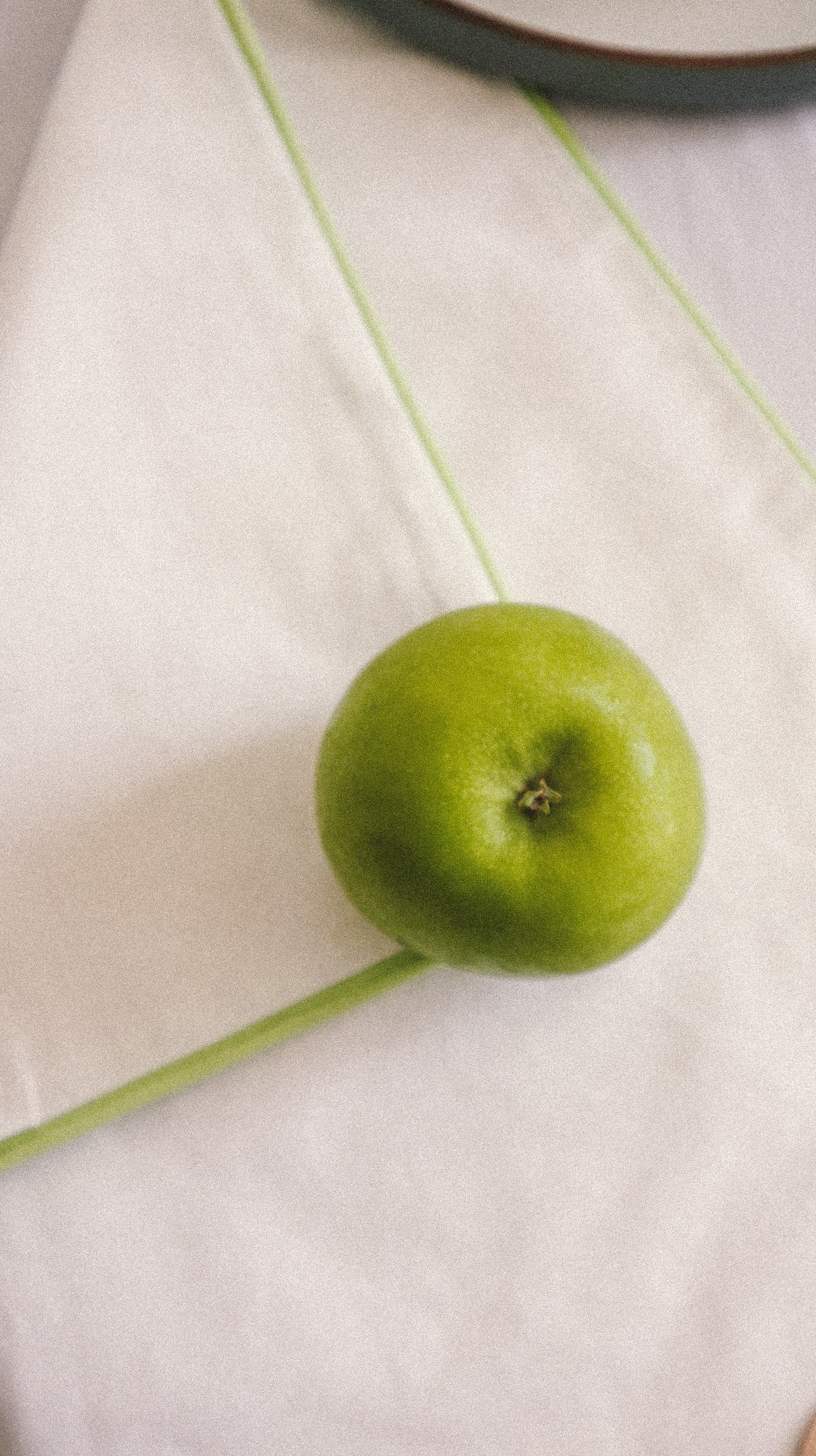 Cotton Placemats (set of 4)