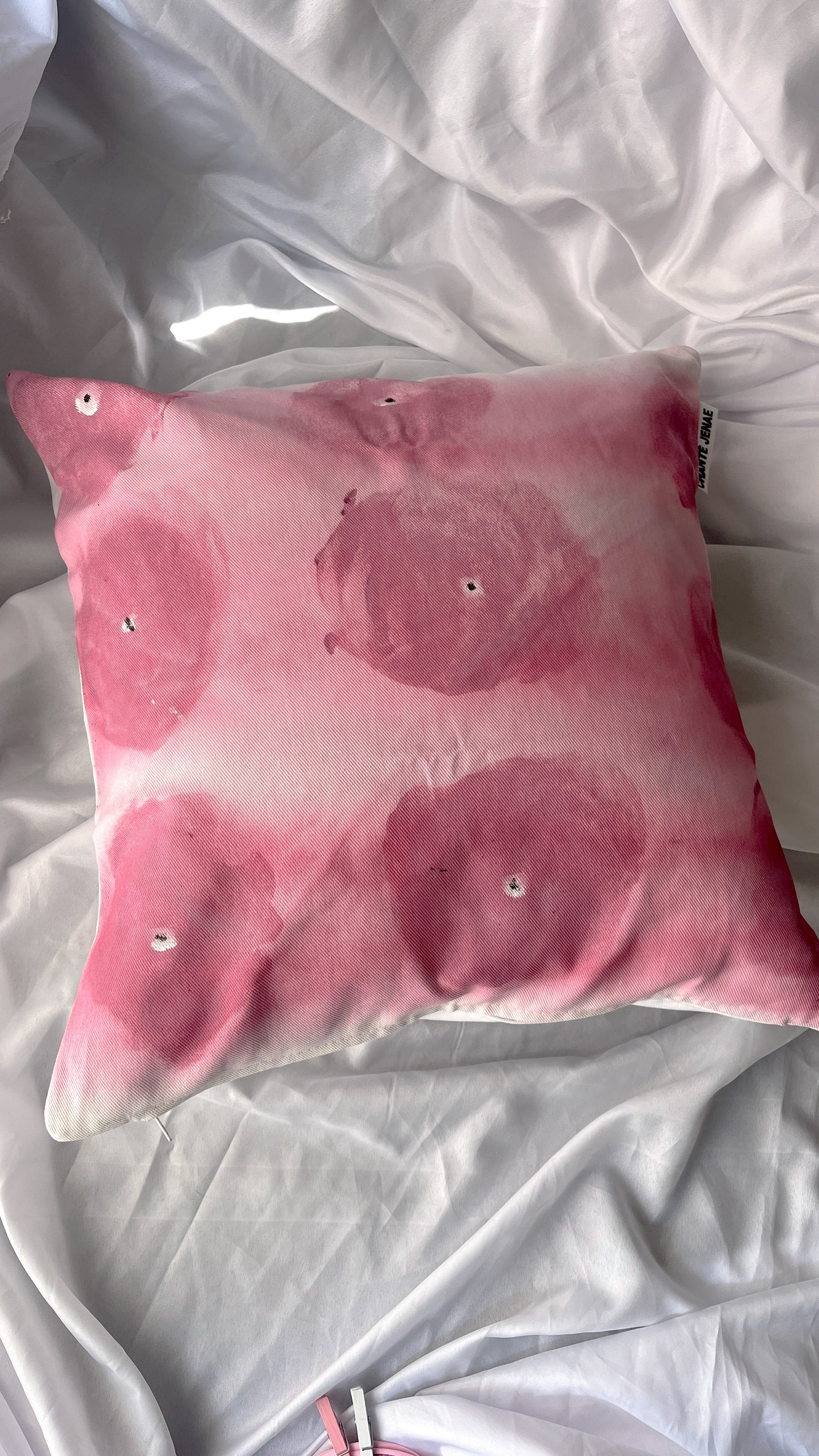 Scatter Pillows