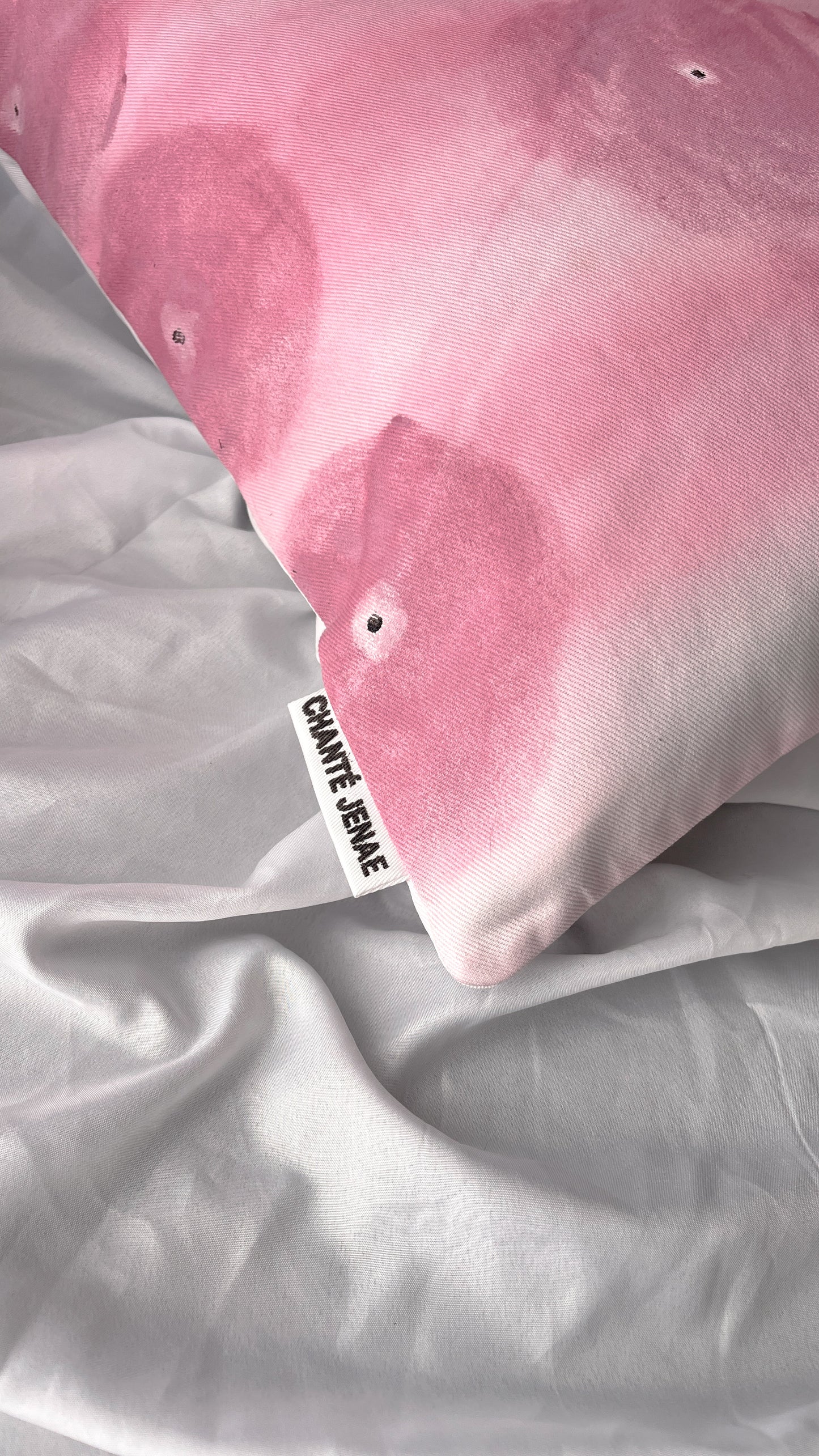 Scatter Pillows