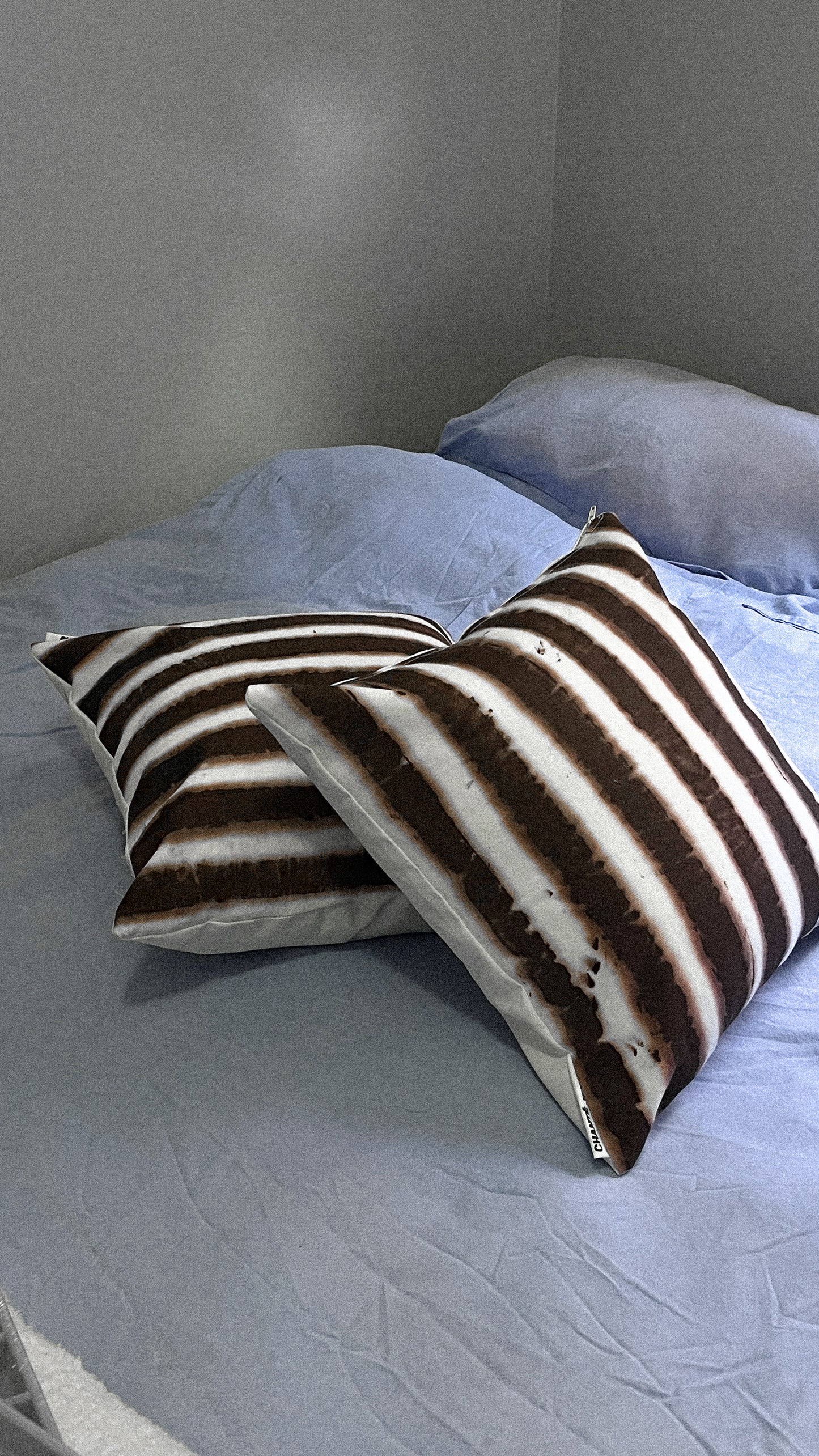 Scatter Pillows